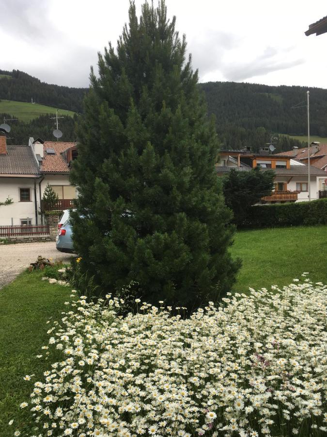 Haus Michael Lägenhet Niederdorf Exteriör bild