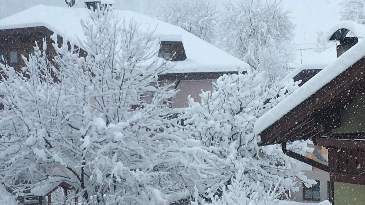 Haus Michael Lägenhet Niederdorf Exteriör bild